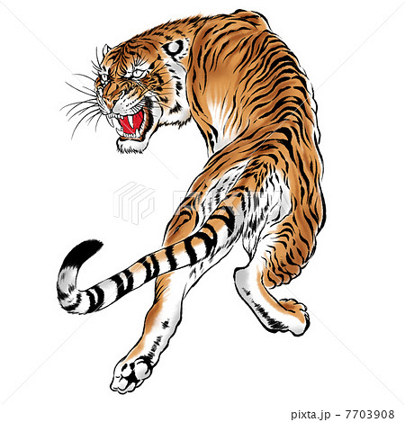 日本画 虎のイラスト素材 [7703908] - PIXTA