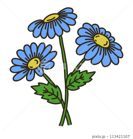 ブルーデージーのイラスト素材 [113421107] - PIXTA