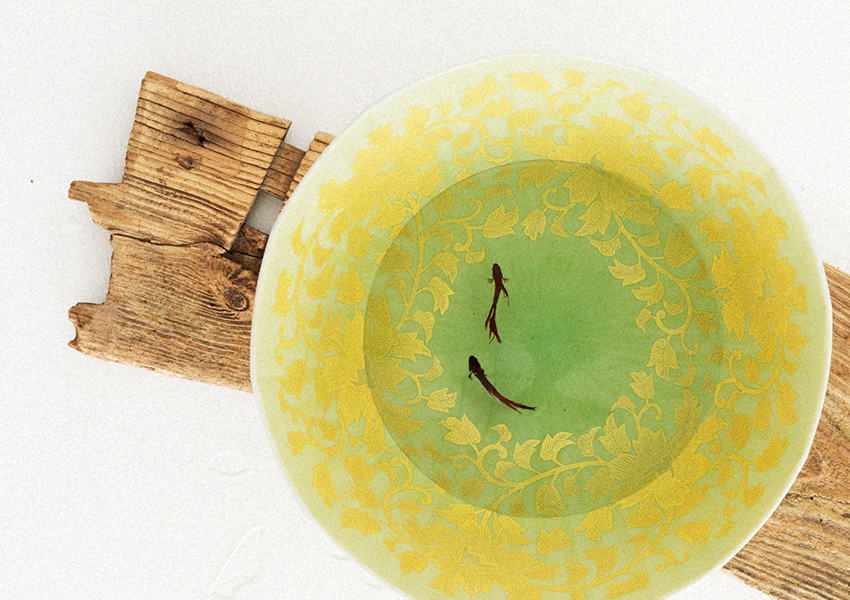 B389b 「椿図皿 5枚」九谷焼 金城製 春日山窯 青木木米 陶器 金沢