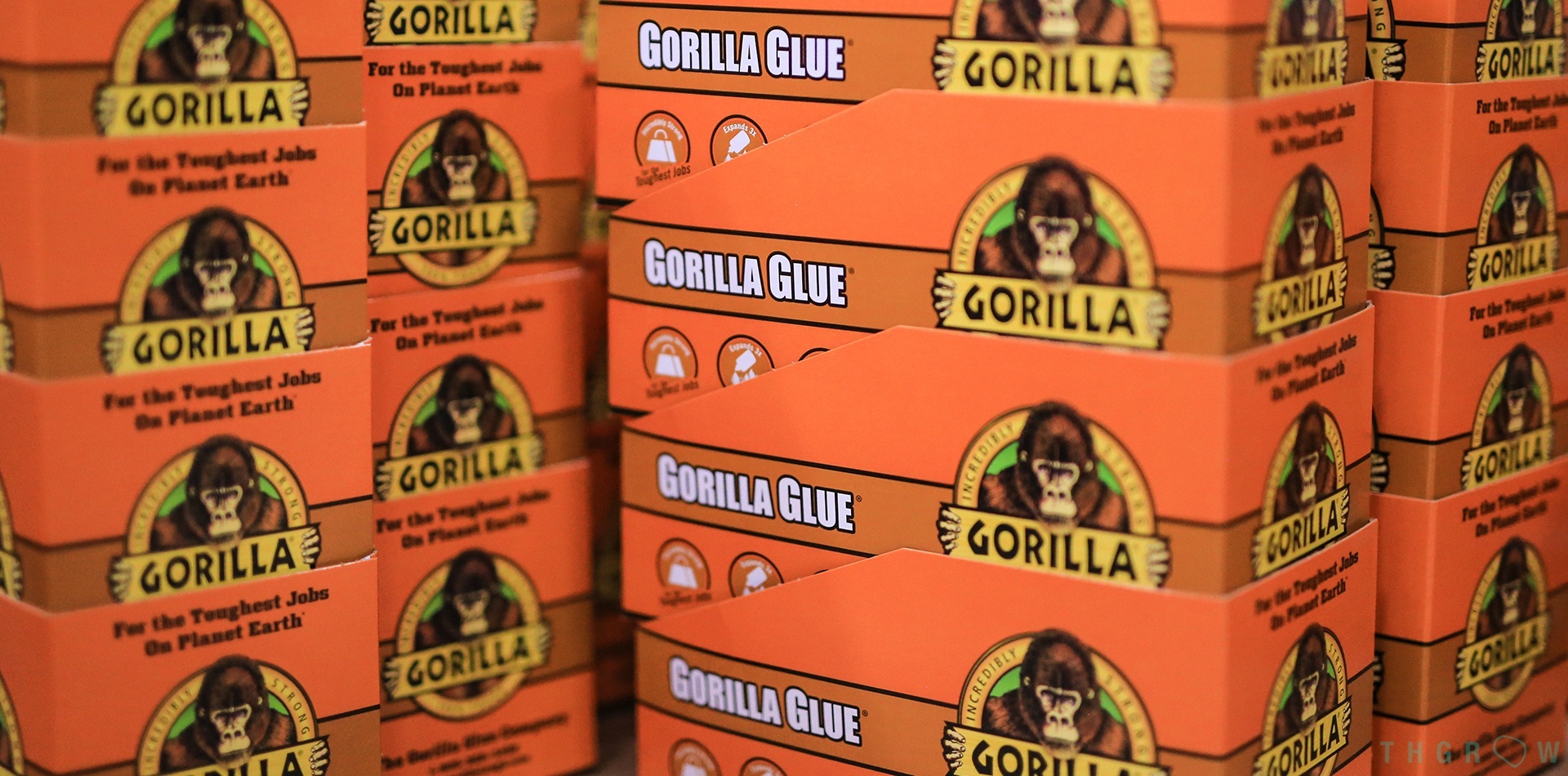 Gorilla Glue #4: one of the most potent crossbreeds - THGrow