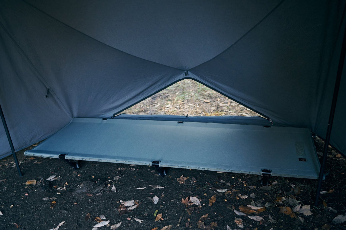 セット割】ダイヤフォート コンプリートセット（ダイヤフォートTC