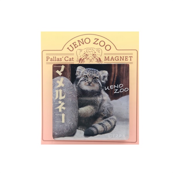 商品詳細ページ