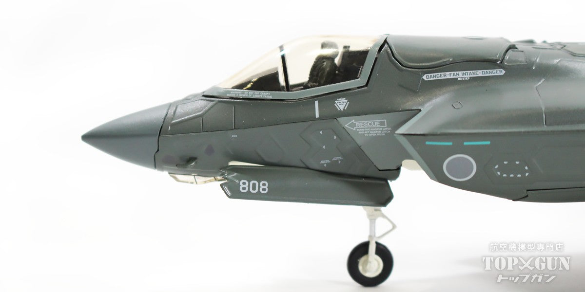 Hobby Master F-35B 航空自衛隊 第3航空団 第301飛行隊（想定） （主翼