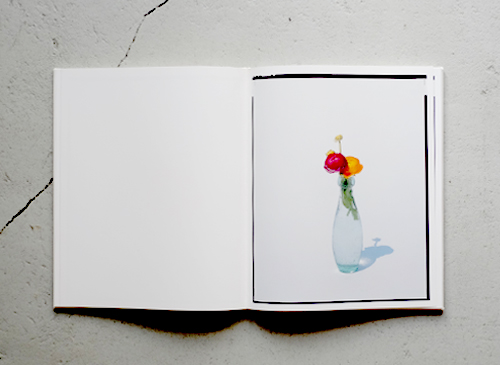 古書古本 Totodo: 上田義彦 FLOWERS（光琳社）