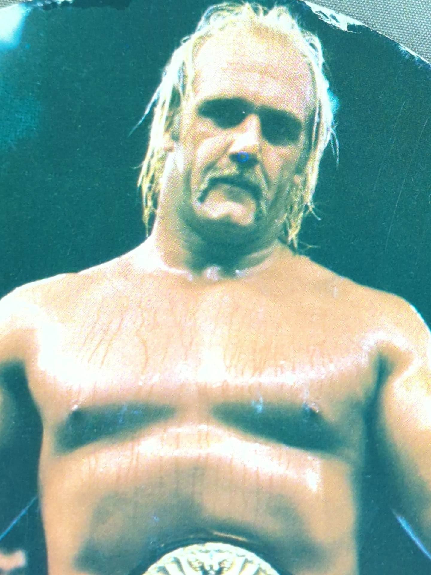 ☆80年代当時モノ☆ ハルク・ホーガン 大判めんこ – 闘道館