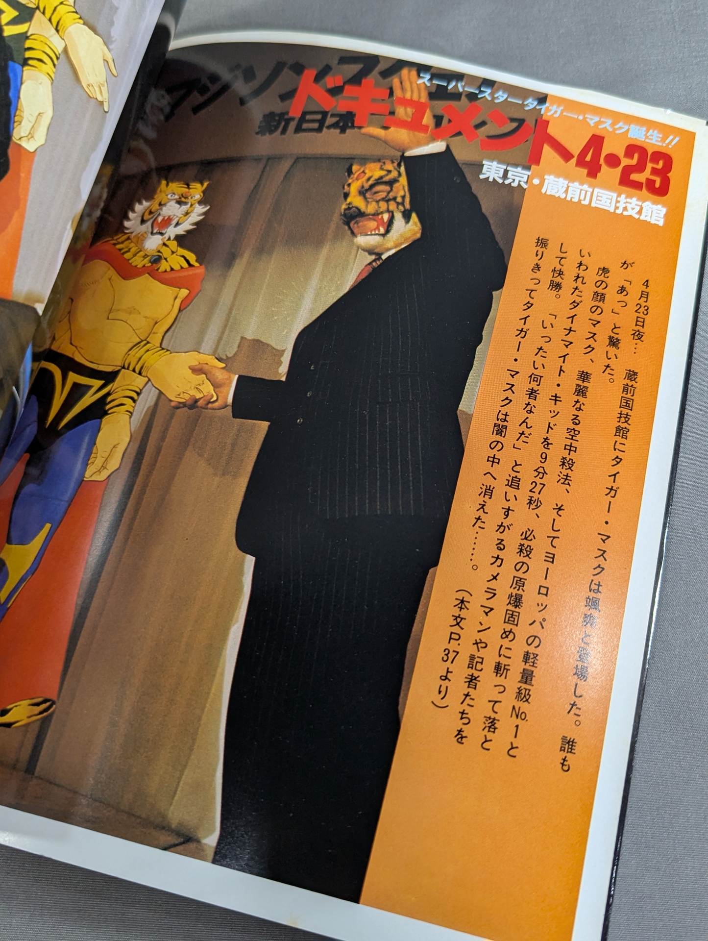 タイガーマスク写真集 テレビ朝日ゴールデンアルバム – 闘道館