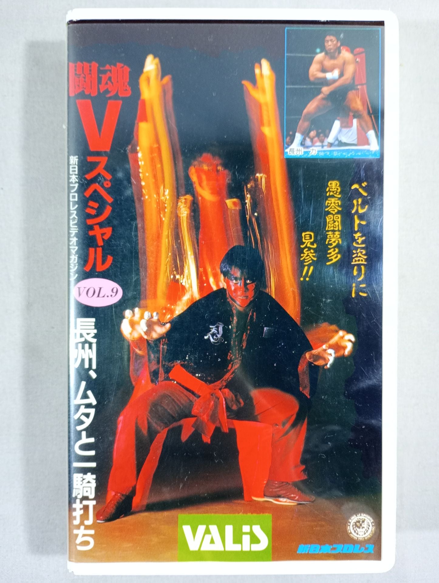 闘魂Vスペシャル Vol.9 – 闘道館