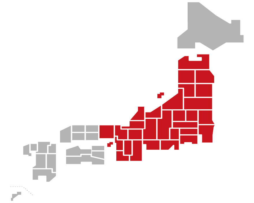 バーミンガム市交響楽団録音全集＜限定盤＞/ルイ・フレモー
