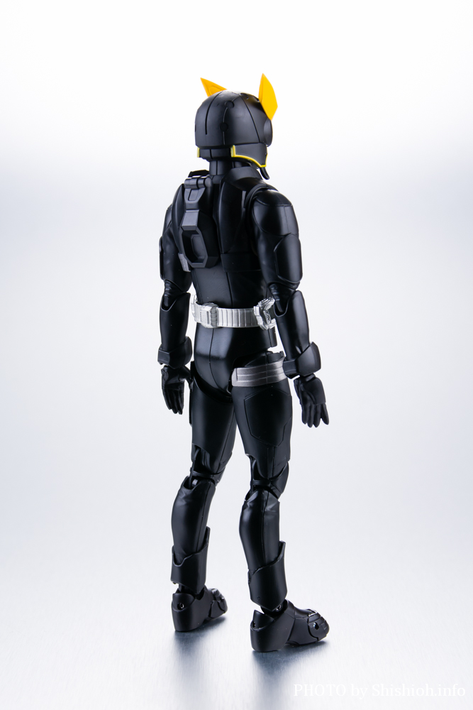 レビュー】S.H.Figuarts デザイアグランプリ エントリーレイズセット