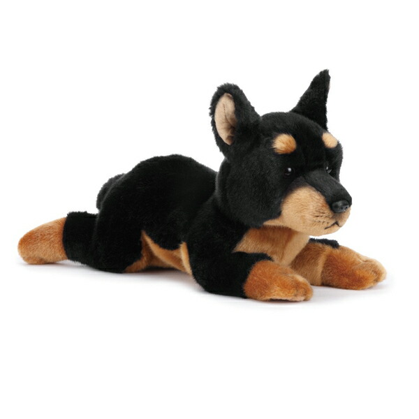 楽天市場】ぬいぐるみ ドーベルマン 長さ37cm □ 犬 子犬 ドッグ 動物