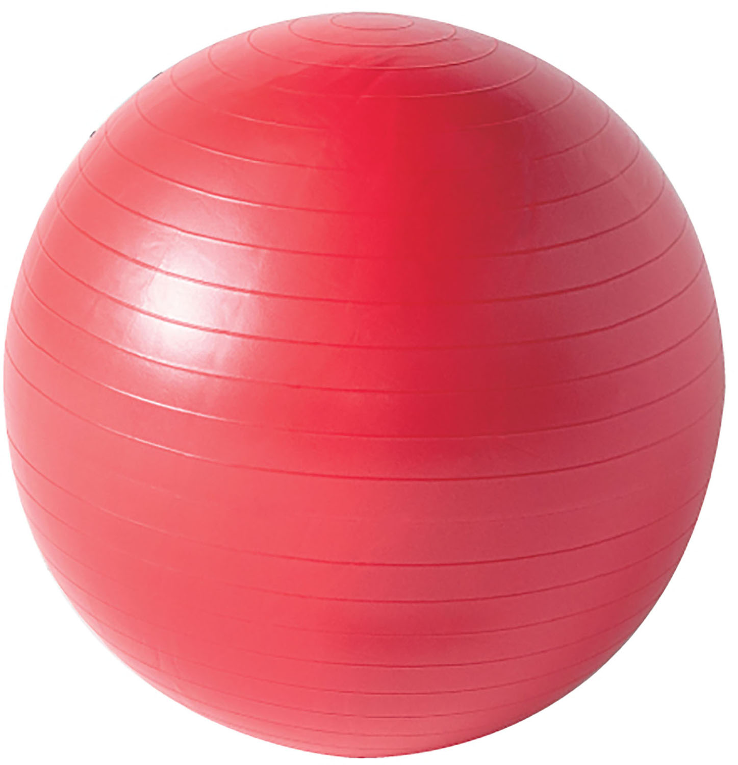 楽天市場】テクノジム バランス ボールの通販