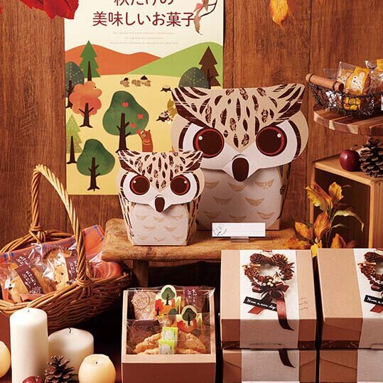 楽天市場】【ネコポスOK】大きなお目々が可愛い♪ ふくろう ギフトBOX