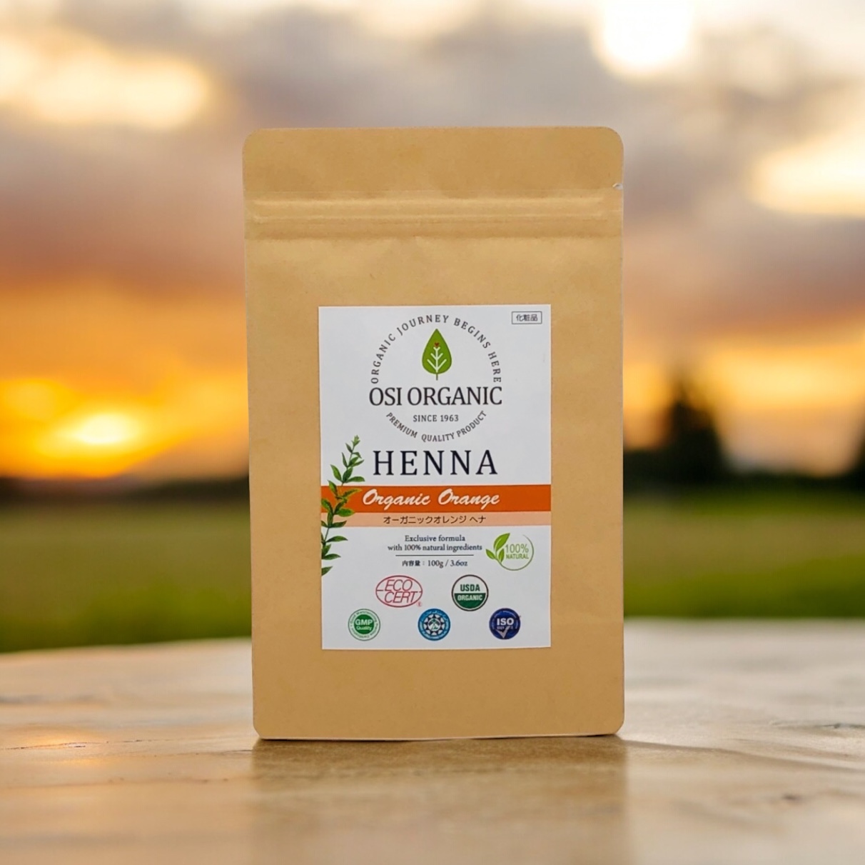 ヘナ 白髪染め オレンジ」の人気商品一覧 | 安い商品を通販サイトから