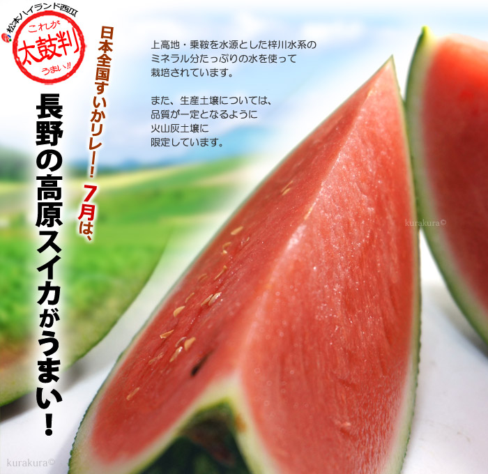 楽天市場】松本ハイランド すいか 秀品 (4L×1玉) 長野産 A品 秀品 9.3