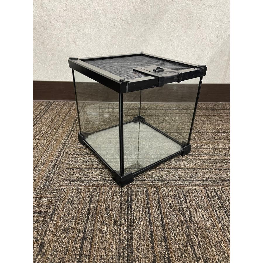 楽天市場】爬虫類 飼育ケース 20×20×20 ガラス 昆虫飼育ケース クモ