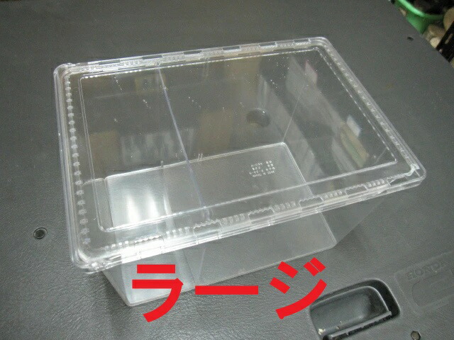 クリアースライダー 昆虫 飼育ケース ラージ」の人気商品一覧 | 安い