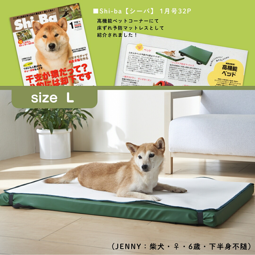 楽天市場】ドッグケア 防水マットレス Lサイズ 床ずれ 予防 ベッド