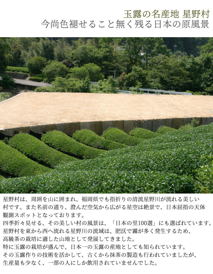楽天市場】抹茶 星野園 星峰 100g缶 福岡 八女 星野村のおいしい抹茶