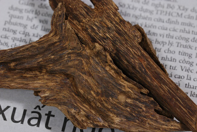 楽天市場】天然沈香【高ランク甘味 10g】量り売り 沈水香木 香木 沈香