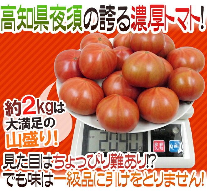 楽天市場】高糖度 夜須のフルーツトマト ”高知県夜須産 とさかみトマト