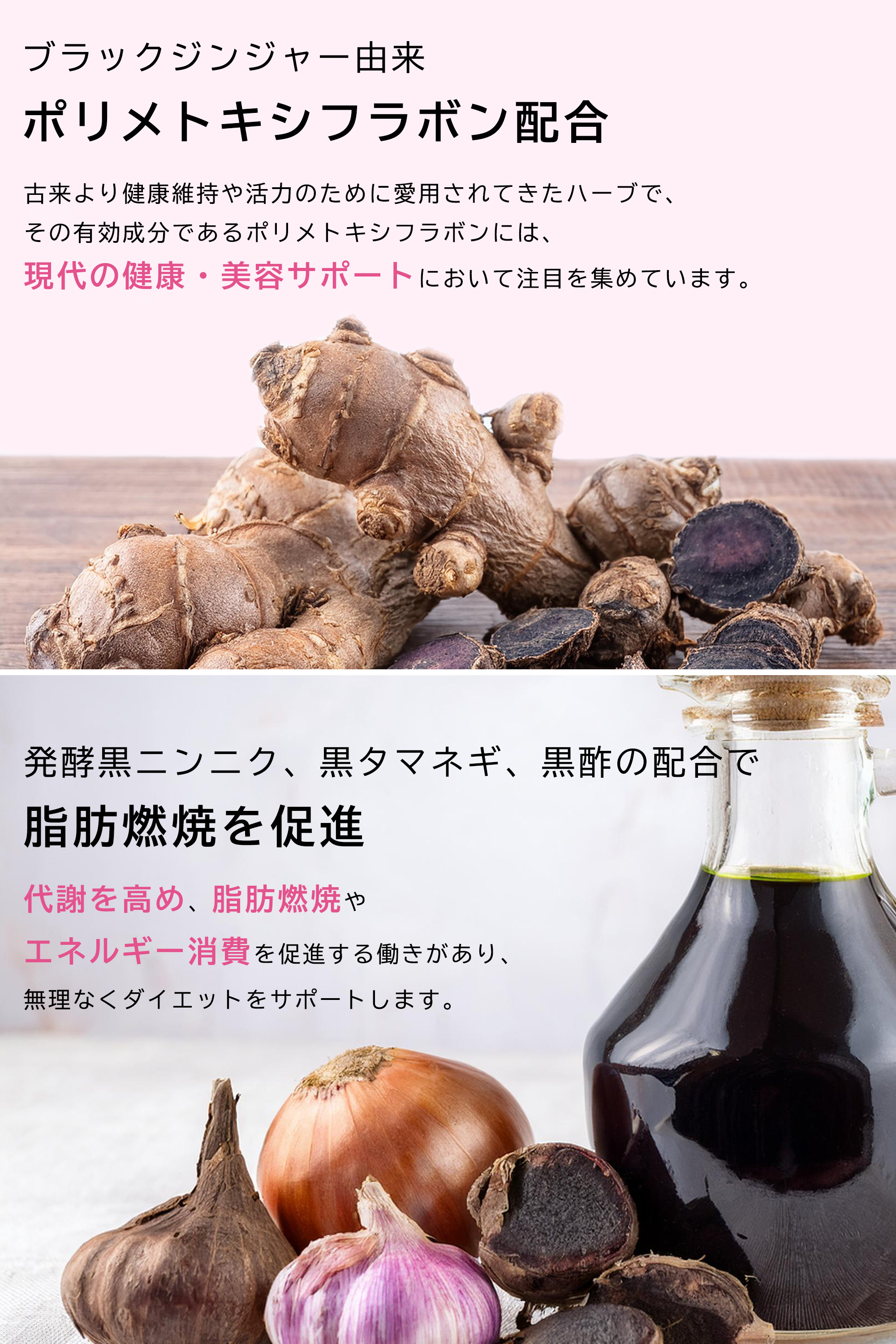 楽天市場】☆期間限定ポイント10倍☆【QVC紹介商品・保阪尚希監修