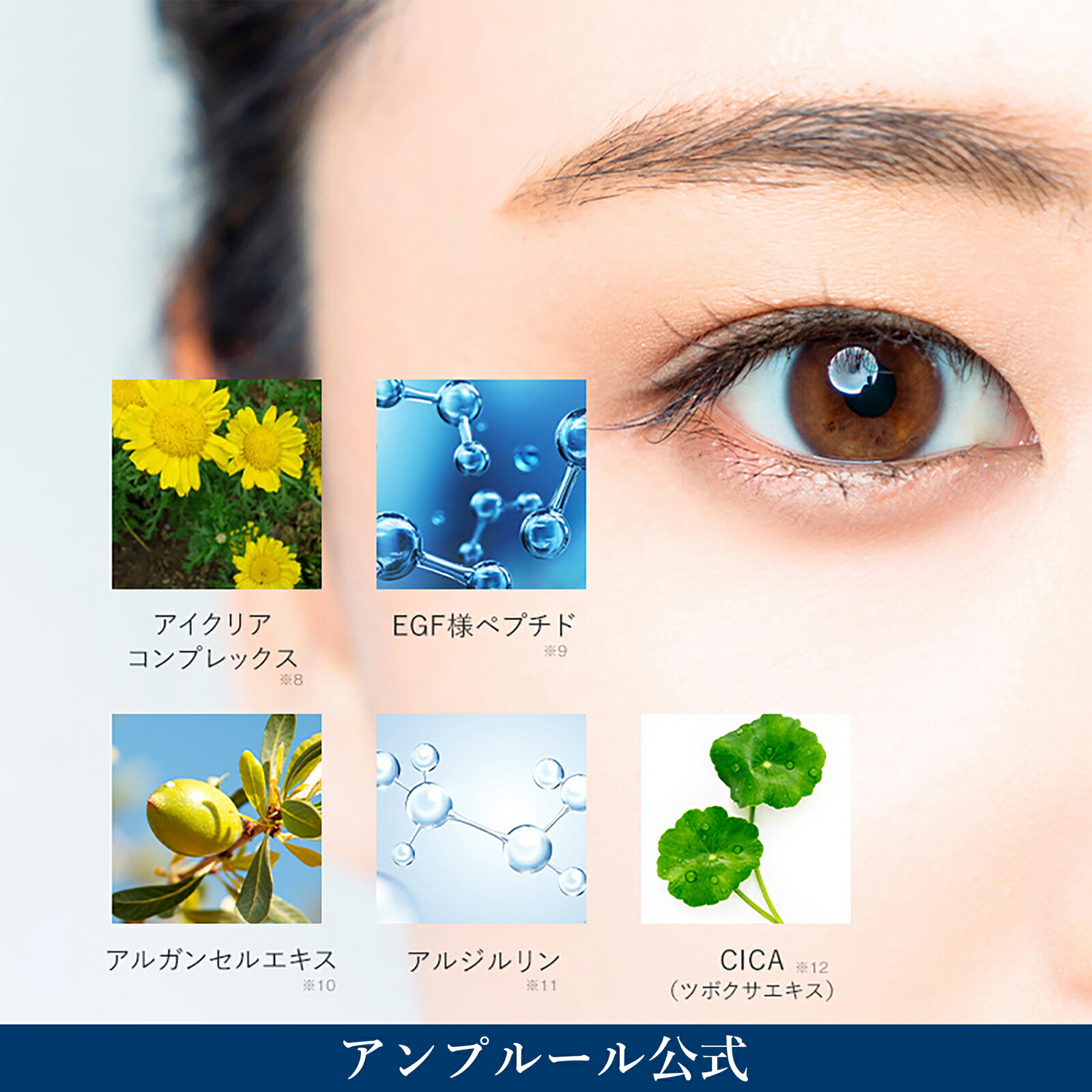 楽天市場】アンプルール公式【目元用クリーム】HQR アイクリーム20g