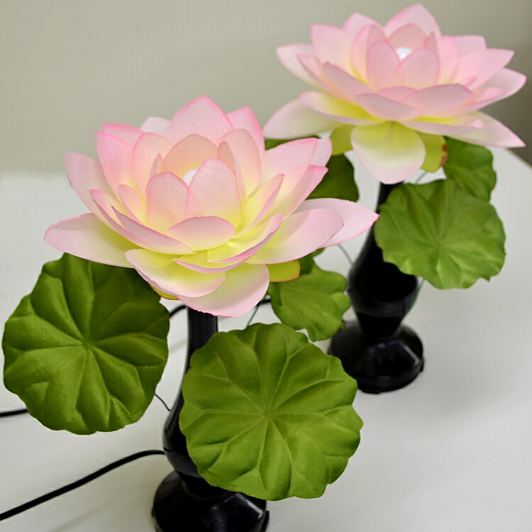 楽天市場】【一対】華蓮シルク 青ボカシ〔PC製〕高さ30cmすっきり