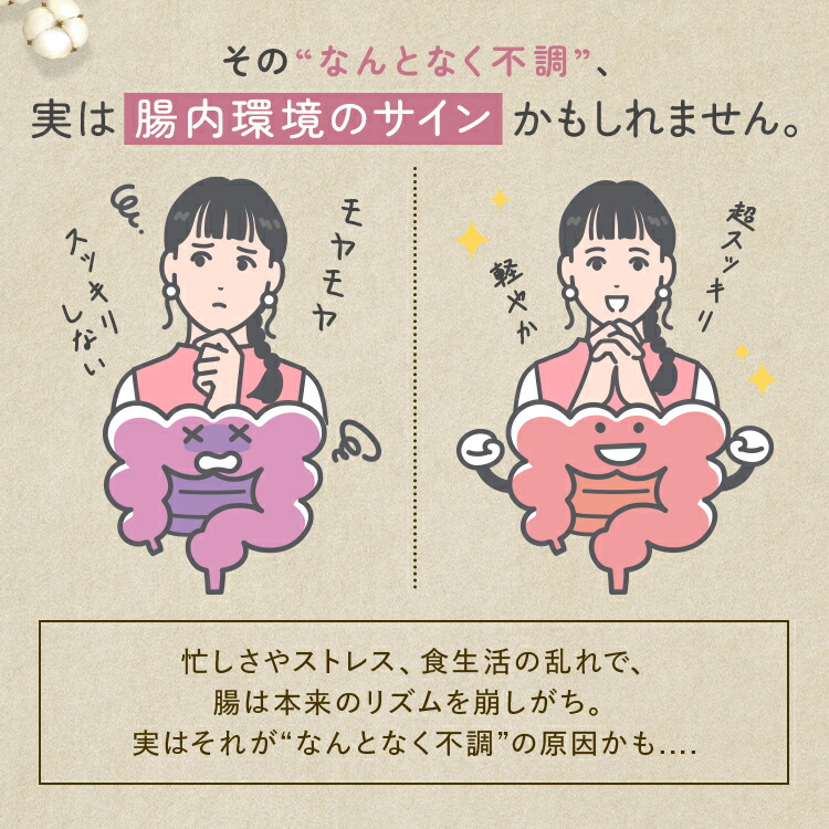 楽天市場】機能性表示食品 Oigurt オイグルト 葛の花 イソフラボン 有