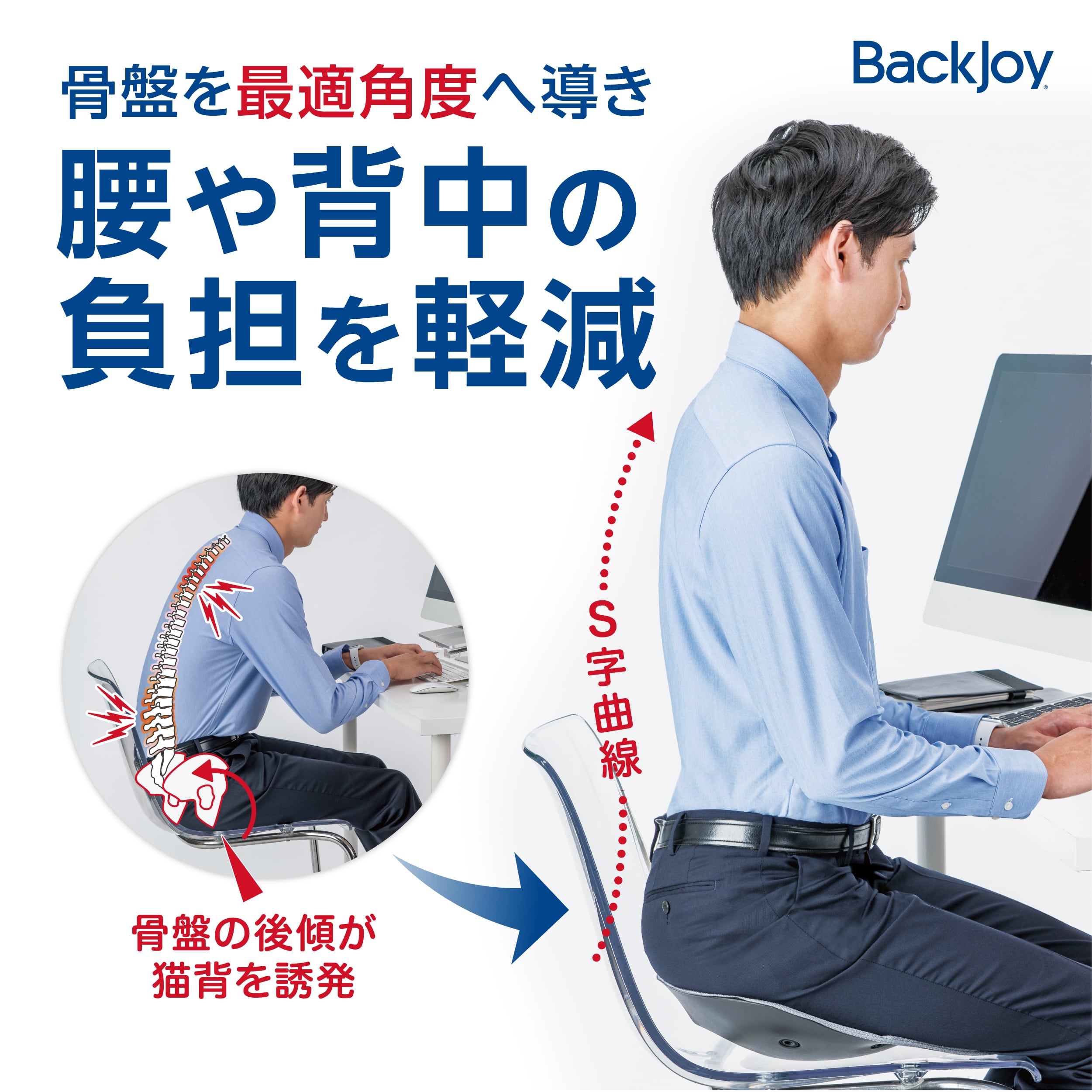 楽天市場】【公式】 ポスチャープラス レギュラー BackJoy 骨盤