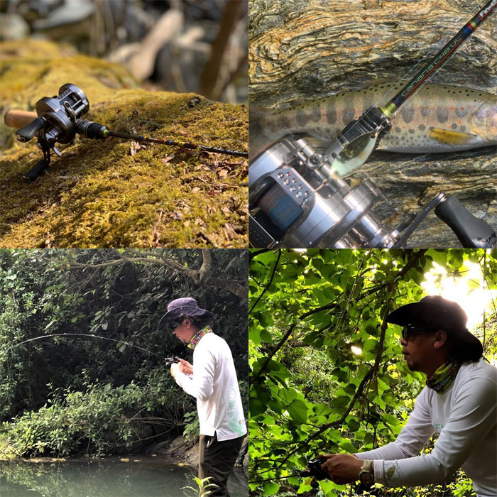 楽天市場】フィンチ カナリア C48UL （パックロッド 渓流 ベイト