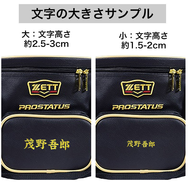 楽天市場】野球 ボールケース ZETT ゼット プロステイタス 硬式・軟式5