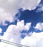 楽天市場】サニーデイ・サービス Best Skyの通販