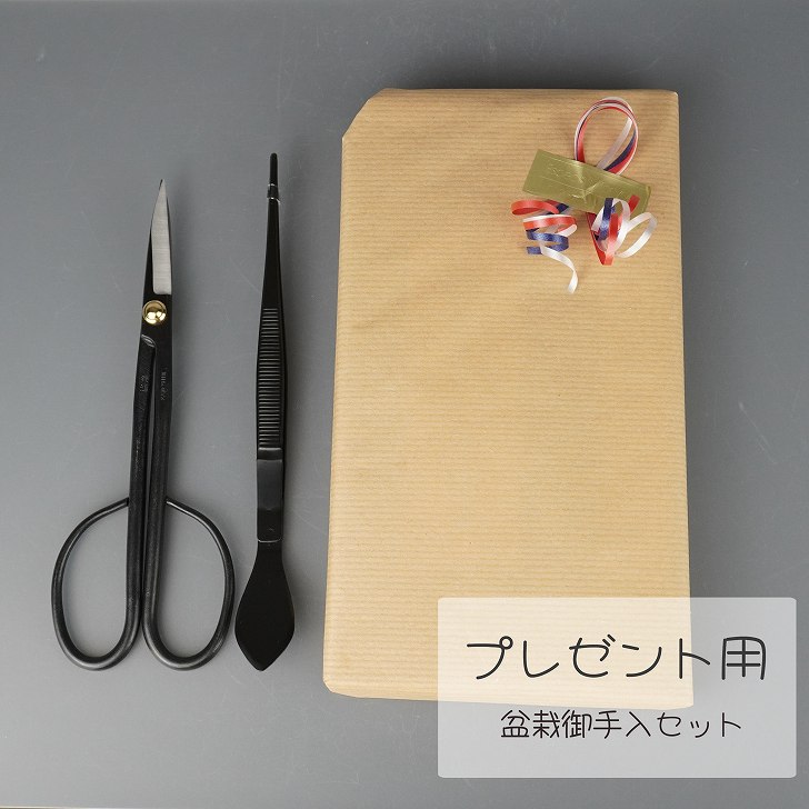 楽天市場】盆栽 道具 セット 剪定ばさみ 兼進刻印 ピンセット