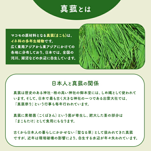 楽天市場】お風呂用 マコモ 浴用 入浴液 お風呂用 真菰 まこも 無農薬