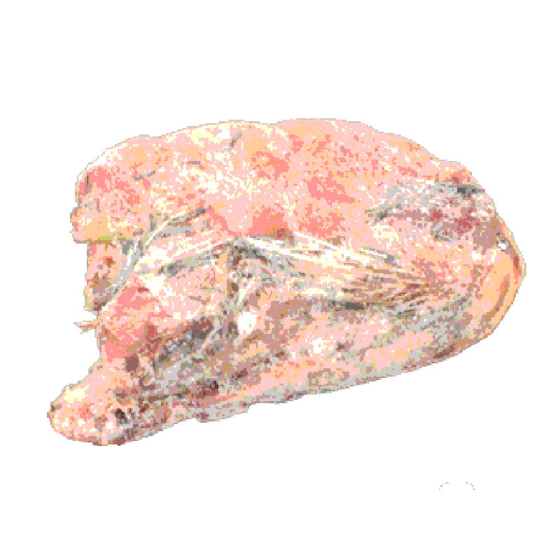 冷凍 親うずら 未処理100羽入 数量限定 残5箱 冷凍親うずら未処理100