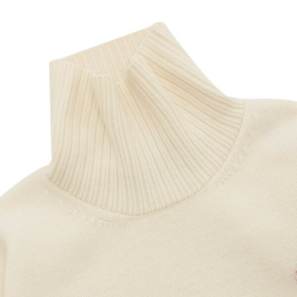 楽天市場】アミパリス ニット セーター タートルネック メンズ