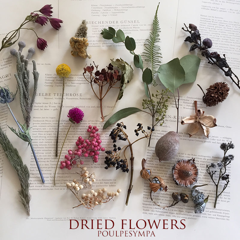 楽天市場】ドライフラワー詰め合わせ セット【 花材 キット 詰め合わせ