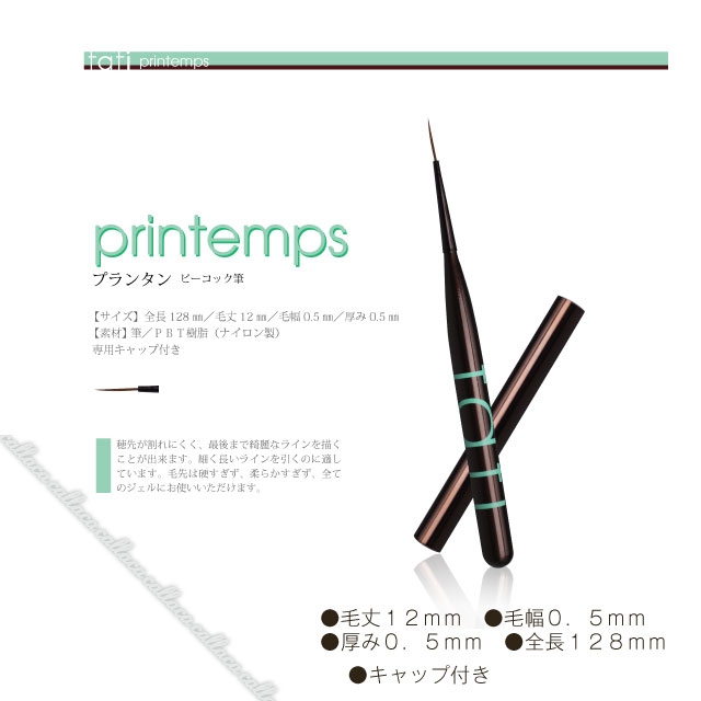 楽天市場】【当日発送可】tati タチ アートショコラ ブラシ スターター