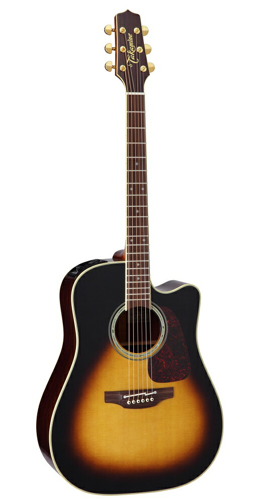 アコースティックギター タカミネ」の人気商品一覧 | 安い商品を通販