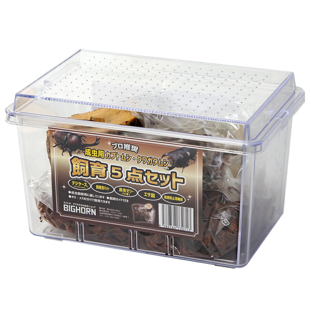 楽天市場】成虫用 カブトムシ・クワガタムシ 飼育5点セット 関東当日