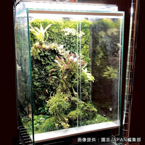 楽天市場】ビバリウム用 植栽シート PLANTING SEAT