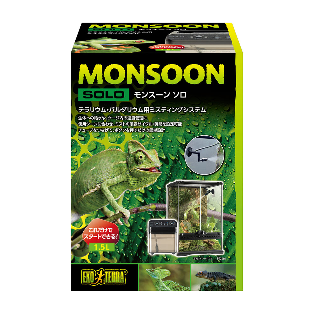 楽天市場】GEX エキゾテラ モンスーンソロ ミスティング カメレオン