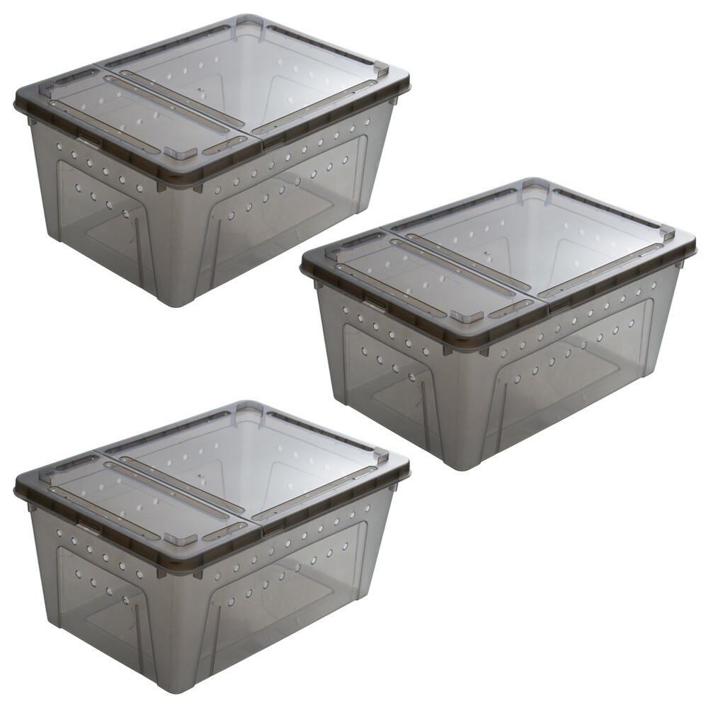 楽天市場】爬虫類ケージ ブリードボックス Lサイズ ブラック 32