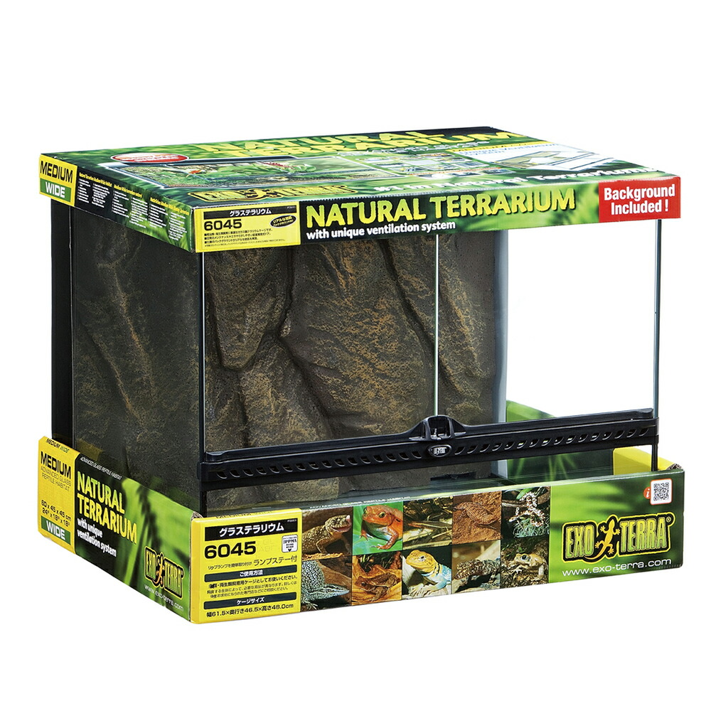 楽天市場】gex グラス テラリウム 9045の通販