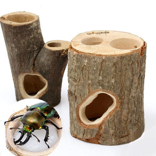 楽天市場】クワガタ洞付き登り木の通販
