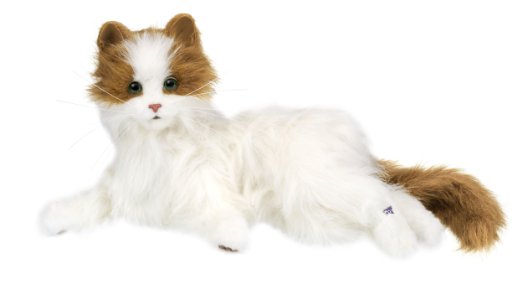 楽天市場】夢ねこ ヴィーナス セガトイズ : クロソイド屋 楽天市場店