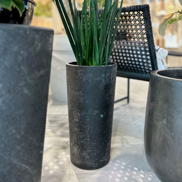 楽天市場】D&M(ディーアンドエム) ウェッジポット Ф23 クリーム