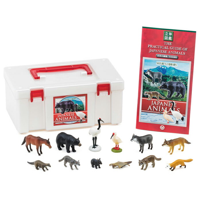 楽天市場】動物 リアル フィギュア 立体図鑑 日本の動物ボックス 12種