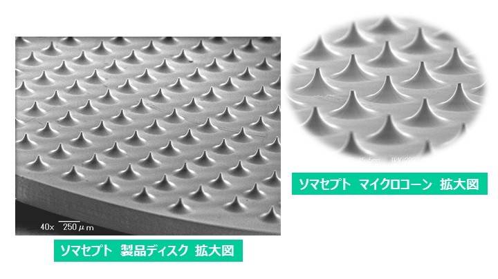 楽天市場】[2種類から選択] ソマレゾン L / ソマセプト L 100個入り