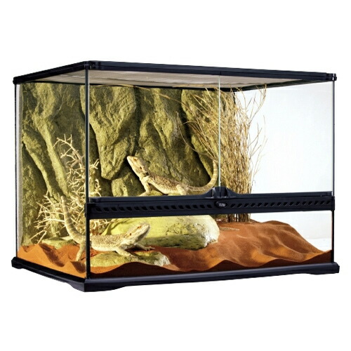 楽天市場】GEX エキゾテラ グラステラリウム 6045 爬虫類用 飼育ケージ